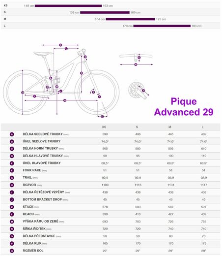 Liv 21 Pique Advanced geo.jpg