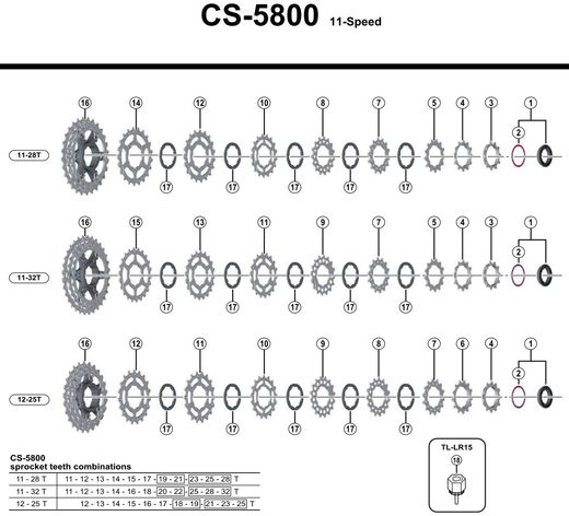 SHIMANO CS5800 chart