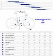 Giant 24 Propel Advanced Pro FF geo.jpg